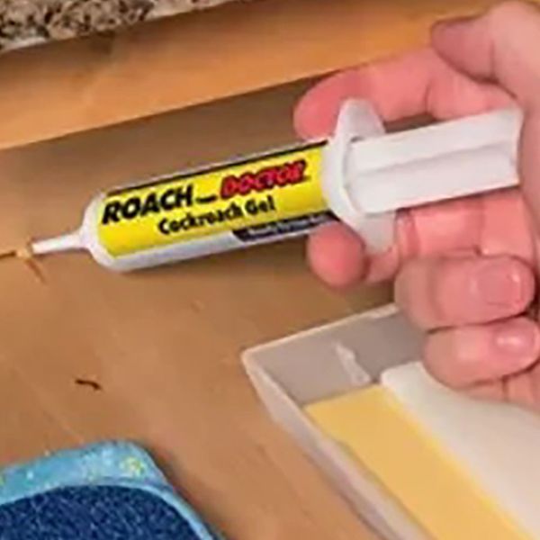 Гель від тарганів та комах 30 мл, Roach doctor Cockroach Gel 234578630 фото